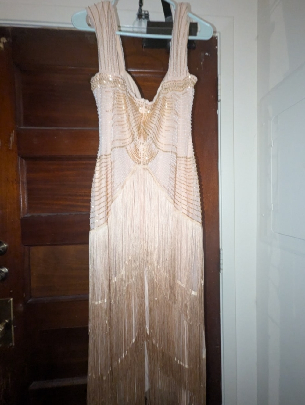 Elegant Blush Fringe Evening Dress - Picture 3 of 3